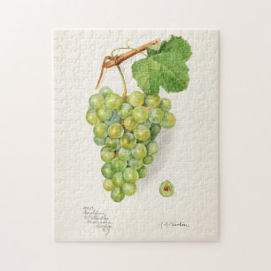 Grüner Traubenstrauß Frucht Aquarellmalerei Puzzle