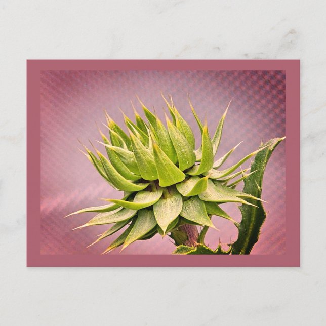 Grüner Traum Postkarte (Vorderseite)