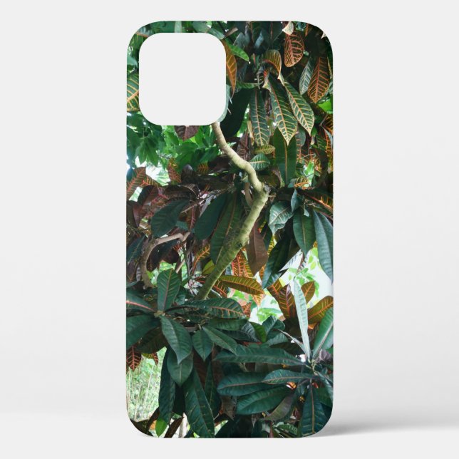 Grüner Tropenwald Case-Mate iPhone Hülle (Rückseite)