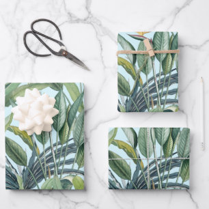 Grüner Tropischer Dschungel Banana Tree Strelitzia Geschenkpapier Set