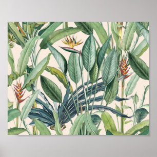 Grüner Tropischer Dschungel Banana Tree Strelitzia Poster
