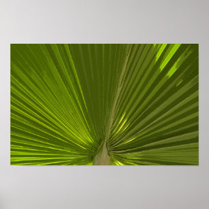 Grüner tropischer Palmwedel Poster