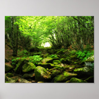 Grüner Tunnel Poster