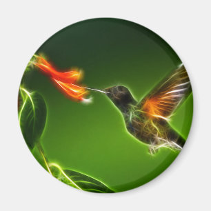 Grüner Violetear Kolibri Magnet
