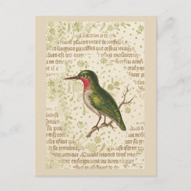 Grüner Vogel am Zweig Postkarte (Vorderseite)