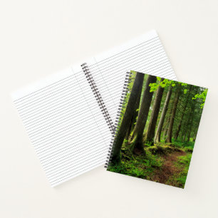 Grüner Waldweg landschaftlich Notizbuch