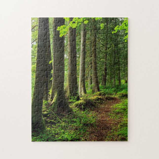 Grüner Waldweg landschaftlich Puzzle (Vertikal)