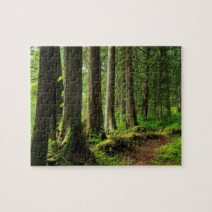Grüner Waldweg Scenic Puzzle
