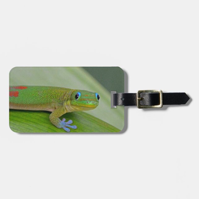 grüner Wasserbrotwurzel-Gepäckanhänger des Gecko Gepäckanhänger (Vorderseite horizontal)