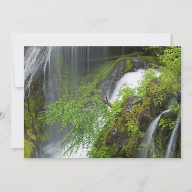 Grüner Wasserfall Landschaftlich Dankeskarte (Vorderseite)