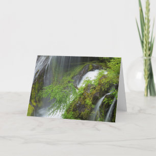 Grüner Wasserfall Landschaftlich Karte