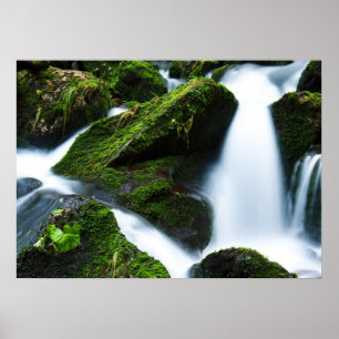 Grüner Wasserfall Poster