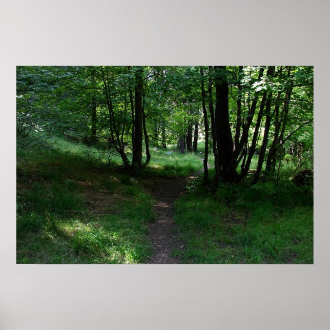 Grüner Weg Poster (Vorne)