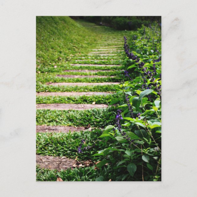 Grüner Weg Postkarte (Vorderseite)