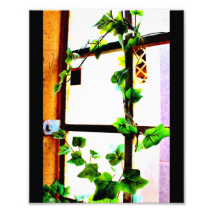Grüner Wein Fotodruck