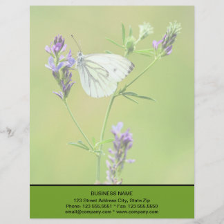 Grüner Weißschmetterling Briefbogen