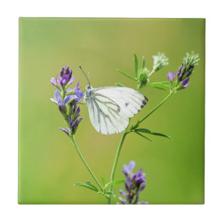 Grüner Weißschmetterling Fliese
