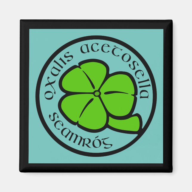 Grünes Aquamarines Kleeblatt Saint Patrick's Day Magnet (Vorne)