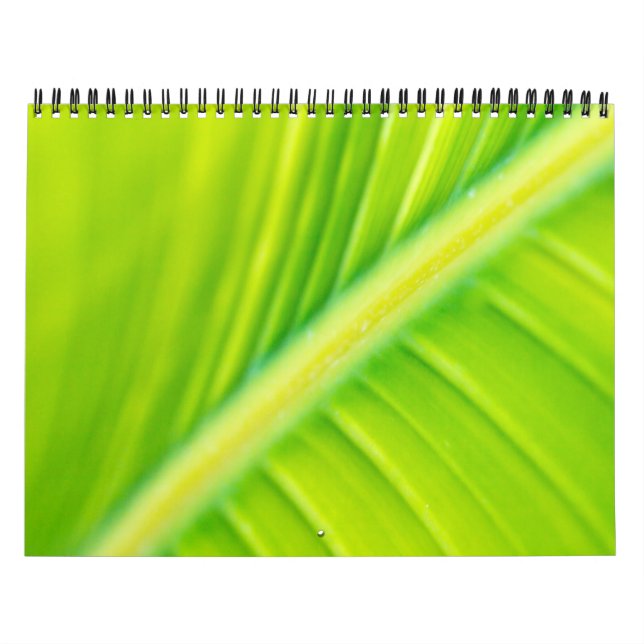 grünes Bananenblatt Kalender (Titelbild)