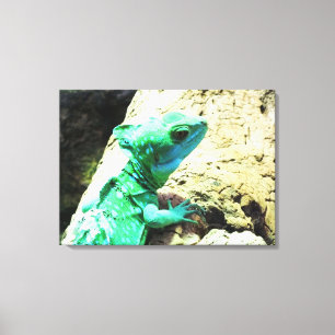Grünes Basiliskisemenreptil Leinwanddruck