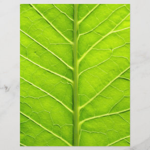 Grünes Blatt