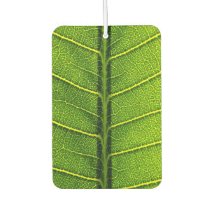 Grünes Blatt Autolufterfrischer