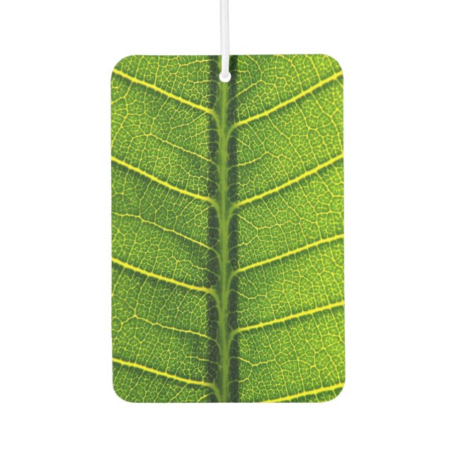 Grünes Blatt Autolufterfrischer (Vorderseite)