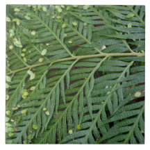 Grünes Blatt