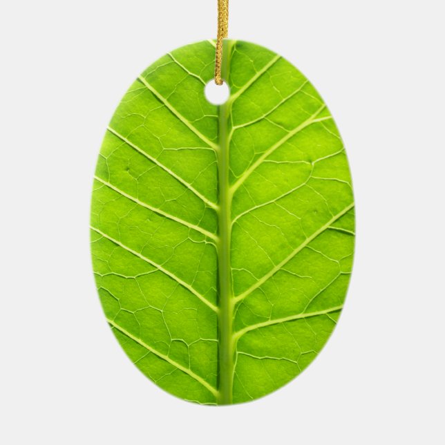 Grünes Blatt Keramik Ornament (Vorne)
