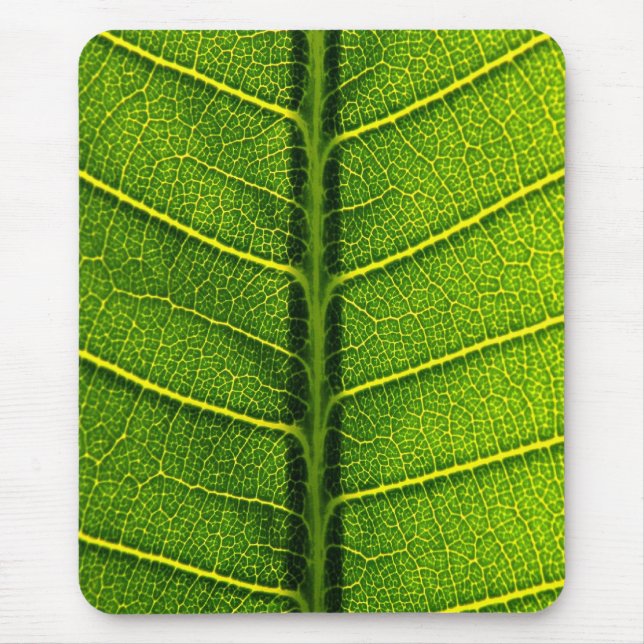 Grünes Blatt Mousepad (Vorne)