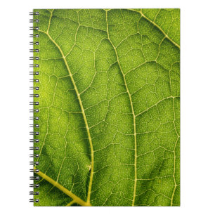 Grünes Blatt Notizblock