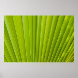 Grünes Blatt Poster