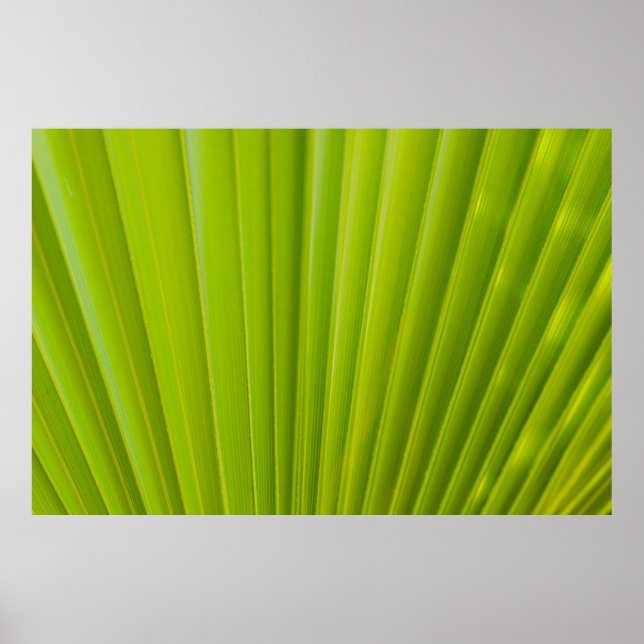Grünes Blatt Poster (Vorne)
