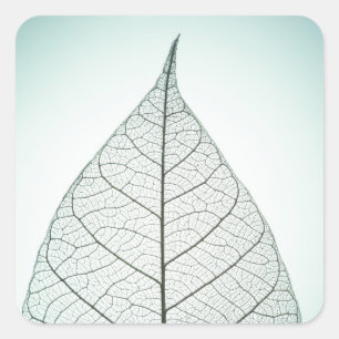 Grünes Blatt-Skelett Quadratischer Aufkleber