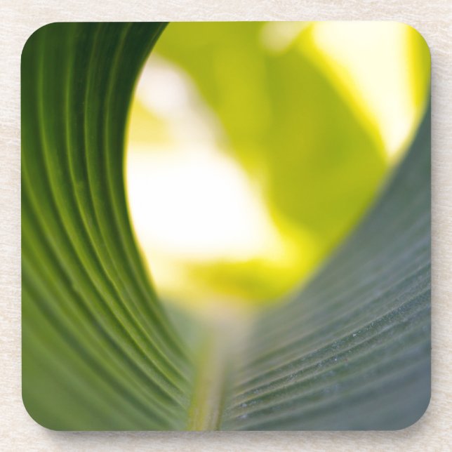 Grünes Blatt Untersetzer (Vorderseite)