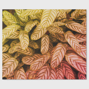 Grünes botanisches Blattmuster-Wrap-Papier Geschenkpapier