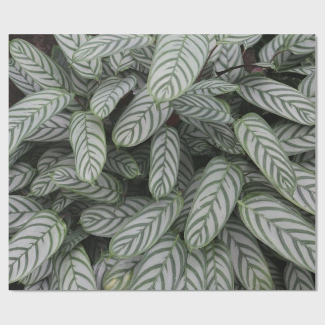 Grünes botanisches Blattmuster-Wrap-Papier Geschenkpapier (Flach)