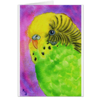 Grünes Budgie