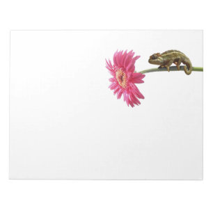 Grünes Chamäleon auf rosa Blume Notizblock