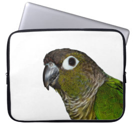 Grünes Cheeked Conure Laptopschutzhülle