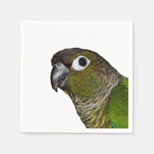 Grünes Cheeked Conure Serviette