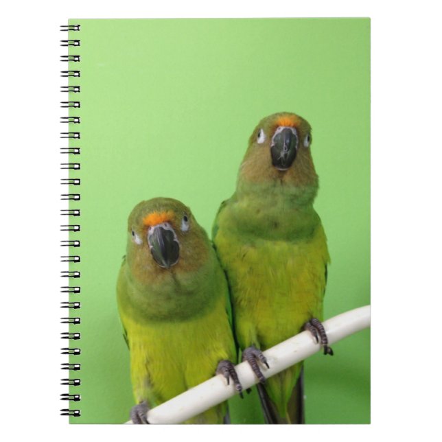 Grünes Conure Anmerkungs-Buch Notizblock (Vorderseite)