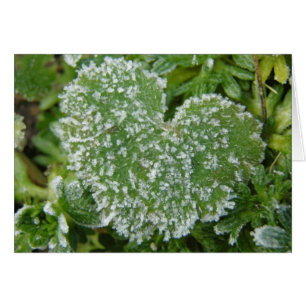 Grünes eisiges Herz