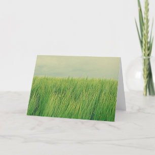 Grünes Feld Karte