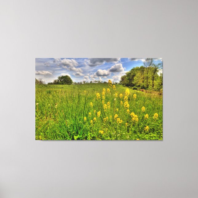 Grünes Feld und bewölkter blauer Himmel Leinwanddruck (Vorderseite)