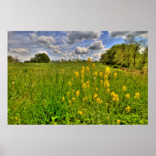 Grünes Feld und bewölkter blauer Himmel Poster