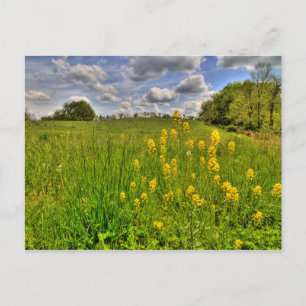 Grünes Feld und bewölkter blauer Himmel Postkarte