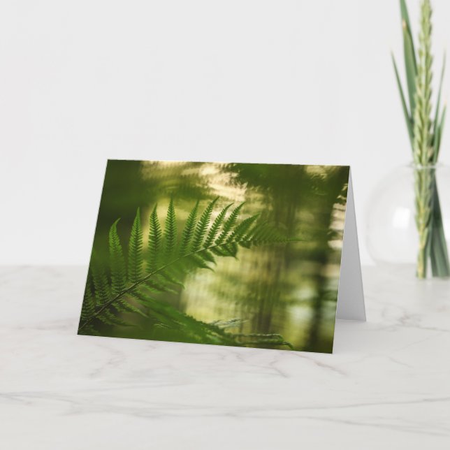 Grünes Fern Frond Nature Foto Karte (Vorderseite)