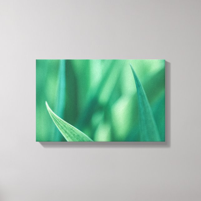Grünes Foto Leinwanddruck (Vorderseite)