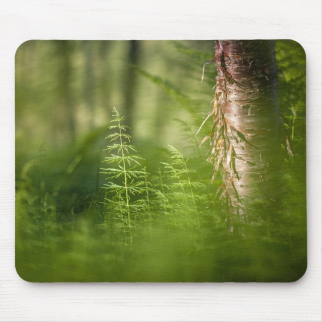 Grünes Foto Mousepad (Vorne)